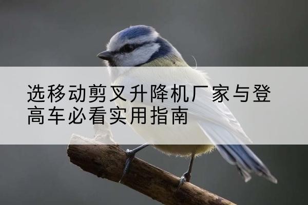 龙泉驿电动升降机厂家-选移动剪叉升降机厂家与登高车必看实用指南