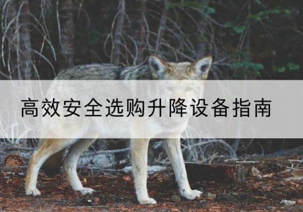 龙泉驿升降货梯厂家推荐-*安全选购升降设备指南