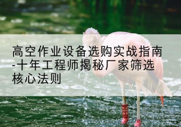 龙泉驿剪叉式升降机厂家-高空作业设备选购实战指南-十年工程师揭秘厂家筛选核心法则